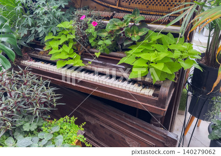 Vintage Piano Overgrown With Lush Plants Vintage Piano Overgrown With Lush Plants 140279062