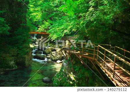 The walking trails of Ganryu Gorge, covered in fresh greenery. The walking trails of Ganryu Gorge, covered in fresh greenery. 140279112