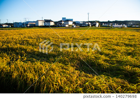 Rice farmers Rice farmers 140279698