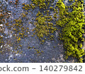 A stone wall with moss 140279842