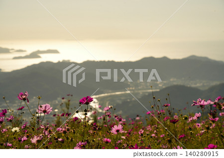 Cosmos flowers and the sunset view from the summit of Washigamine Mountain. Cosmos flowers and the sunset view from the summit of Washigamine Mountain. 140280915