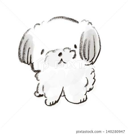Shih tzu Shih tzu 140280947