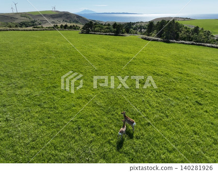 Cape Soya in early summer: Aerial view of the white road, Hokkaido's most spectacular scenery Cape Soya in early summer: Aerial view of the white road, Hokkaido's most spectacular scenery 140281926