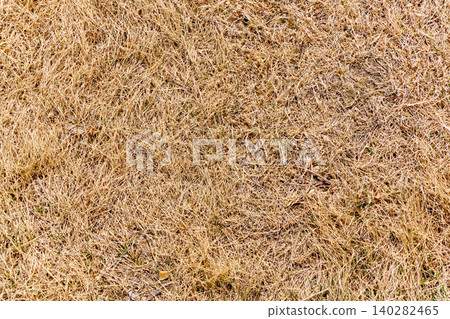 Macro close up of dry intertwined grass in golden brown tones Macro close up of dry intertwined grass in golden brown tones 140282465