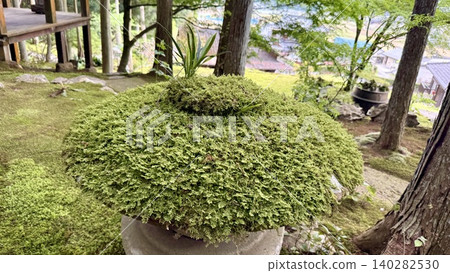 Lush gardens Lush gardens 140282530