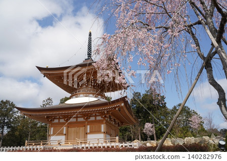 Koma-san Shōten-in Shōraku-ji Temple: Weeping Cherry Tree and Main Hall, Hidaka City, Saitama Prefecture Koma-san Shōten-in Shōraku-ji Temple: Weeping Cherry Tree and Main Hall, Hidaka City, Saitama Prefecture 140282976