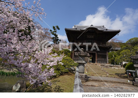 埼玉縣日高市駒山聖天院正樂寺及雷門沿途櫻花盛開 埼玉縣日高市駒山聖天院正樂寺及雷門沿途櫻花盛開 140282977