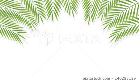 Tropical Palm Leaf Border for Summer Design Tropical Palm Leaf Border for Summer Design 140283159