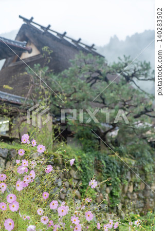 Rainy Miyama thatched-roof village Rainy Miyama thatched-roof village 140283502