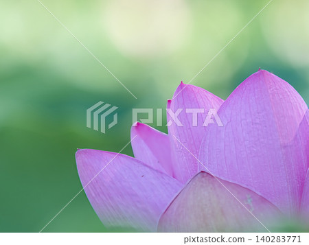 風景與蓮花 風景與蓮花 140283771