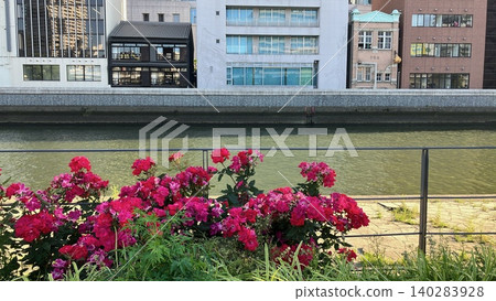 五月玫瑰咖啡館建築 五月玫瑰咖啡館建築 140283928