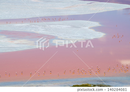 Serene pink water of Laguna Colorada in Bolivia with flamingos Serene pink water of Laguna Colorada in Bolivia with flamingos 140284081