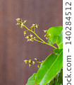 Lychee flower 140284512