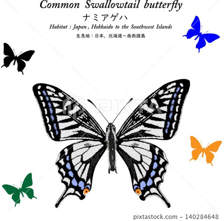 Detailed vector illustration of a Common Swallowtail butterfly. Detailed vector illustration of a Common Swallowtail butterfly. 140284648