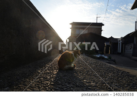 Community cats on Sanagi Island (Tadotsu Town, Kagawa Prefecture) Community cats on Sanagi Island (Tadotsu Town, Kagawa Prefecture) 140285038