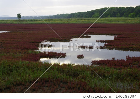 這次北海道夏季之旅將帶您從名取湖出發,途經原始花園,橫渡鄂霍次克海,到達佐呂間島,最後到達層雲峽。 這次北海道夏季之旅將帶您從名取湖出發,途經原始花園,橫渡鄂霍次克海,到達佐呂間島,最後到達層雲峽。 140285394