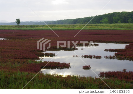 這次北海道夏季之旅將帶您從名取湖出發,途經原始花園,橫渡鄂霍次克海,到達佐呂間島,最後到達層雲峽。 這次北海道夏季之旅將帶您從名取湖出發,途經原始花園,橫渡鄂霍次克海,到達佐呂間島,最後到達層雲峽。 140285395