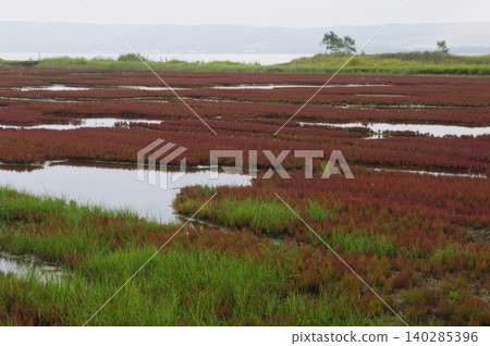 這次北海道夏季之旅將帶您從名取湖出發,途經原始花園,橫渡鄂霍次克海,到達佐呂間島,最後到達層雲峽。 這次北海道夏季之旅將帶您從名取湖出發,途經原始花園,橫渡鄂霍次克海,到達佐呂間島,最後到達層雲峽。 140285396