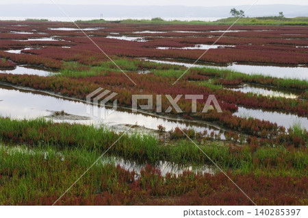 這次北海道夏季之旅將帶您從名取湖出發,途經原始花園,橫渡鄂霍次克海,到達佐呂間島,最後到達層雲峽。 這次北海道夏季之旅將帶您從名取湖出發,途經原始花園,橫渡鄂霍次克海,到達佐呂間島,最後到達層雲峽。 140285397