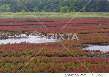 This summer trip to Hokkaido takes you from Lake Notori to the Primeval Flower Garden, across the Sea of Okhotsk, to Saroma Island, and finally to Sounkyo Gorge. This summer trip to Hokkaido takes you from Lake Notori to the Primeval Flower Garden, across the Sea of Okhotsk, to Saroma Island, and finally to Sounkyo Gorge. 140285398