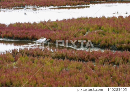 This summer trip to Hokkaido takes you from Lake Notori to the Primeval Flower Garden, across the Sea of Okhotsk, to Saroma Island, and finally to Sounkyo Gorge. 140285405