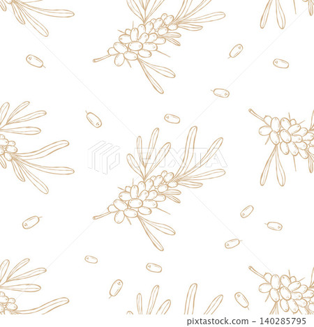 Sea Buckthorn Seamless Pattern. Line Art Botanical Background. Repeated Branch and Berries on White. Outline hand-drawn Square template Ornament. Vector illustration Sea Buckthorn Seamless Pattern. Line Art Botanical Background. Repeated Branch and Berries on White. Outline hand-drawn Square template Ornament. Vector illustration 140285795