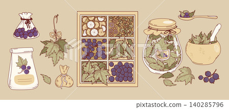 Black Currant Herbal Tea Storage Set with Wooden Organizer Glass Jar and Sachet Bags. Homemade Dried Berries and Leaves, Gift self-made Packaging. Vector illustration. Isolated cottagecore Elements Black Currant Herbal Tea Storage Set with Wooden Organizer Glass Jar and Sachet Bags. Homemade Dried Berries and Leaves, Gift self-made Packaging. Vector illustration. Isolated cottagecore Elements 140285796