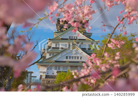 Osaka Castle surrounded by cherry blossoms 140285999