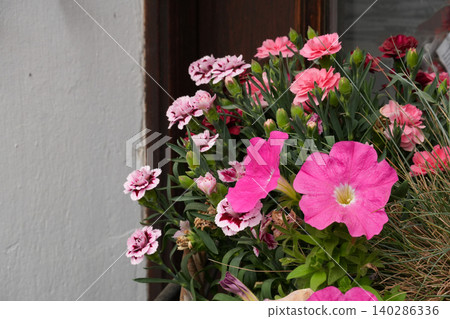 Urban flower arrangement as green biotope and decorative element of city landscape Urban flower arrangement as green biotope and decorative element of city landscape 140286336