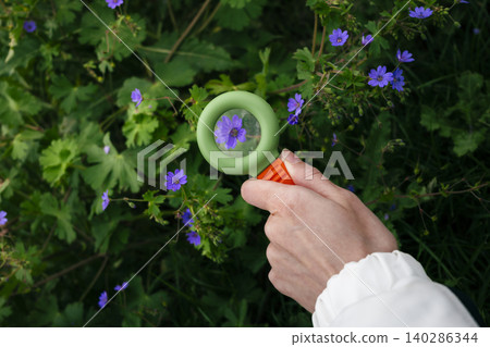 Hand holding a magnifying glass over purple forest flowers, highlighting botanical detail and plant study Hand holding a magnifying glass over purple forest flowers, highlighting botanical detail and plant study 140286344