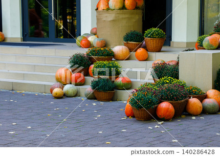 A welcoming display of pumpkins and potted chrysanthemum flowers adorns the steps leading to a building entrance, celebrating the fall season A welcoming display of pumpkins and potted chrysanthemum flowers adorns the steps leading to a building entrance, celebrating the fall season 140286428