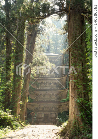 從通往神社的杉樹林小路上可以看到,籠罩在斑駁陽光下的羽黑山神秘五層寶塔。 從通往神社的杉樹林小路上可以看到,籠罩在斑駁陽光下的羽黑山神秘五層寶塔。 140286563