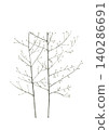 A monochrome watercolor illustration of asparagus [hand-drawn] with a white background, cutout, and copy space. 140286691