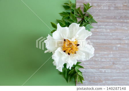 Luxury white peony blossom with rustic wooden texture Luxury white peony blossom with rustic wooden texture 140287148