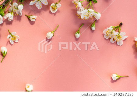 spring blossom flowers with buds on gentle pink background spring blossom flowers with buds on gentle pink background 140287155