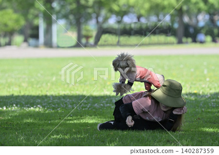Dog dancing: Woman playing with her dog, a Maltipoo (Maltese x Toy Poodle). Dog dancing: Woman playing with her dog, a Maltipoo (Maltese x Toy Poodle). 140287359