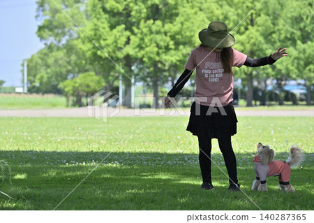 Dog dancing: Woman playing with her dog, a Maltipoo (Maltese x Toy Poodle). Dog dancing: Woman playing with her dog, a Maltipoo (Maltese x Toy Poodle). 140287365