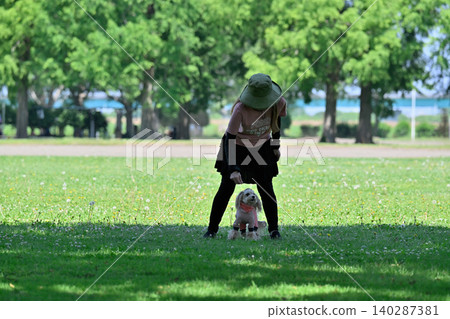 Dog dancing: Woman playing with her dog, a Maltipoo (Maltese x Toy Poodle). Dog dancing: Woman playing with her dog, a Maltipoo (Maltese x Toy Poodle). 140287381