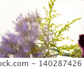A dreamy close-up of a flower arrangement with the focus on small yellow flowers. 140287426