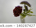 A chic mini bouquet of carnations and small flowers against a white background (overhead shot). 140287427