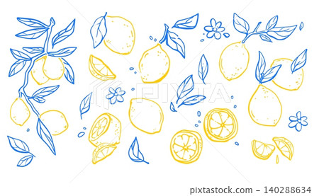 Vintage sketch pattern with yellow lemon fruits Vintage sketch pattern with yellow lemon fruits 140288634