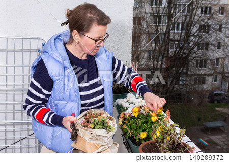 A 50-year-old woman tends to autumn flowers on her balcony. She focuses on each plant with care while surrounded by city buildings. It is a cool afternoon in the fall season 140289372