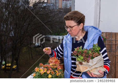 A 50-year-old woman tends to her autumn flowers on a small balcony. She sorts plants from a bag while enjoying her time outdoors in a city environment A 50-year-old woman tends to her autumn flowers on a small balcony. She sorts plants from a bag while enjoying her time outdoors in a city environment 140289468
