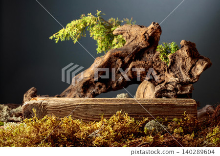 Mockup for your eco product. Juniper branches, weathered driftwood and forest moss. 140289604