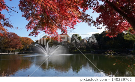 Autumn scenery of a pond and fountain adorned with crimson maple leaves. 140289765