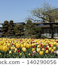 Landscape with tulips Landscape with tulips 140290056