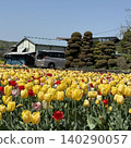 A park with tulips A park with tulips 140290057