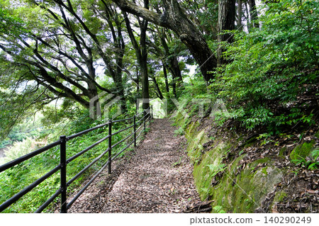 Scenery of Kinkai Central Park, a promenade surrounded by greenery. 140290249