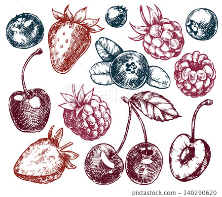 Set of fresh berries. Vector illustration in sketch style. Set of fresh berries. Vector illustration in sketch style. 140290620