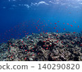 A school of red fish swimming among the coral reef 140290820